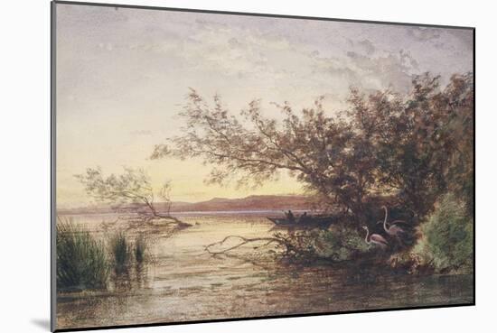 La Camargue, coucher de soleil-Félix Ziem-Mounted Giclee Print