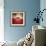 La Casa-Luis Beltran-Framed Photographic Print displayed on a wall