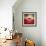 La Casa-Luis Beltran-Framed Photographic Print displayed on a wall