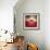 La Casa-Luis Beltran-Framed Photographic Print displayed on a wall