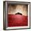 La Casa-Luis Beltran-Framed Photographic Print