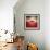 La Casa-Luis Beltran-Framed Photographic Print displayed on a wall