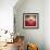 La Casa-Luis Beltran-Framed Photographic Print displayed on a wall