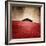 La Casa-Luis Beltran-Framed Photographic Print