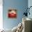 La Casa-Luis Beltran-Framed Premier Image Canvas displayed on a wall