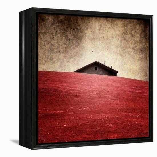 La Casa-Luis Beltran-Framed Premier Image Canvas