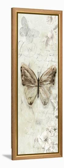 La Chanson du Papillon I-Carol Robinson-Framed Stretched Canvas