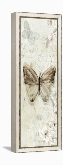 La Chanson du Papillon I-Carol Robinson-Framed Stretched Canvas