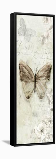 La Chanson du Papillon I-Carol Robinson-Framed Stretched Canvas