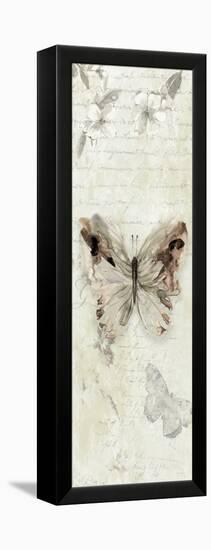 La Chanson du Papillon II-Carol Robinson-Framed Stretched Canvas