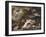 La chasse de Diane-Luca Giordano-Framed Giclee Print