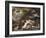 La chasse de Diane-Luca Giordano-Framed Giclee Print