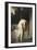 La chaste Suzanne , dit aussi Suzanne au bain-Jean Jacques Henner-Framed Giclee Print