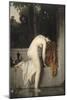 La chaste Suzanne , dit aussi Suzanne au bain-Jean Jacques Henner-Mounted Giclee Print