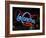 La Concha Motel Sign, Las Vegas, Nevada, USA-Nancy & Steve Ross-Framed Photographic Print