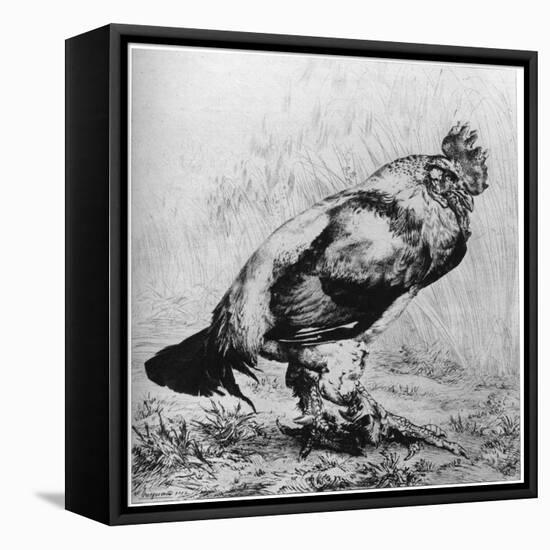 La Coq, C1850-1910-Felix Bracquemond-Framed Premier Image Canvas