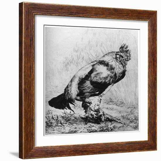 La Coq, C1850-1910-Felix Bracquemond-Framed Giclee Print