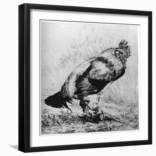 La Coq, C1850-1910-Felix Bracquemond-Framed Giclee Print