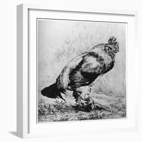 La Coq, C1850-1910-Felix Bracquemond-Framed Giclee Print