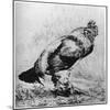 La Coq, C1850-1910-Felix Bracquemond-Mounted Giclee Print