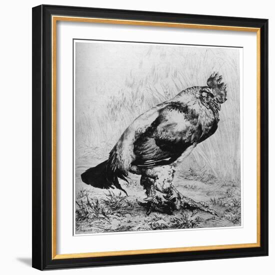 La Coq, C1850-1910-Felix Bracquemond-Framed Giclee Print