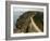 La Coupee, Sark, Channel Islands, United Kingdom, Europe-Richardson Rolf-Framed Photographic Print