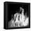 La Dama (The Woman) Remix-Gideon Ansell-Framed Premier Image Canvas