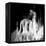 La Dama (The Woman) Remix-Gideon Ansell-Framed Premier Image Canvas