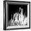 La Dama (The Woman) Remix-Gideon Ansell-Framed Photographic Print