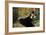 La Dame Aux Eventails, Lady with Fans, 1873-Edouard Manet-Framed Giclee Print