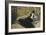 La dame aux éventails, Nina de Callias-Edouard Manet-Framed Giclee Print