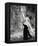 La Dolce Vita-null-Framed Stretched Canvas