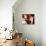 La Dormeuse-Tamara de Lempicka-Art Print displayed on a wall