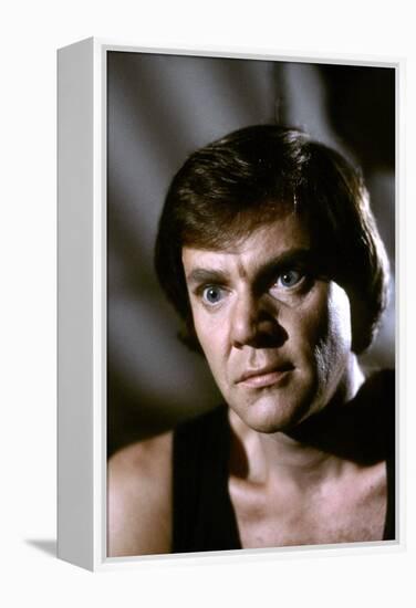 La feline CAT PEOPLE by Paul Schrader with MALCOLM MCDOWELL, 1982 (photo)-null-Framed Stretched Canvas