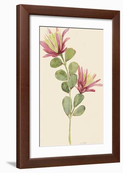 La Flor-The Vintage Collection-Framed Giclee Print