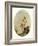 La Folie-Jean-Honore Fragonard-Framed Giclee Print