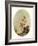 La Folie-Jean-Honore Fragonard-Framed Giclee Print