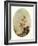 La Folie-Jean-Honore Fragonard-Framed Giclee Print