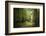 La Foret De Carnoet En Bretagne-Philippe Manguin-Framed Photographic Print