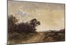 La forêt de Fontainebleau aux environs de Barbizon-Félix Ziem-Mounted Giclee Print