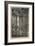 'La Galerie Notre-Dame (3rd State, 11 1/8 x 6 15/16 Inches)', 1853, (1927.)-Charles Meryon-Framed Giclee Print