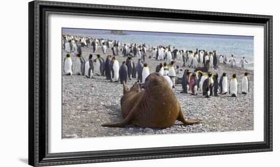 La Gioconda-Sergey Kokinskiy-Framed Photographic Print