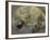 La Glorification de Saint Bernardin de Sienne-Donato Creti-Framed Giclee Print