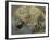 La Glorification de Saint Bernardin de Sienne-Donato Creti-Framed Giclee Print