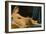 La Grande Odalisque, 1814-Jean-Auguste-Dominique Ingres-Framed Giclee Print