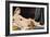 La Grande Odalisque-Jean-Auguste-Dominique Ingres-Framed Art Print