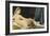 La Grande Odalisque-Jean-Auguste-Dominique Ingres-Framed Giclee Print