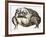 La grenouille-Maurice Legendre-Framed Limited Edition