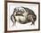 La grenouille-Maurice Legendre-Framed Limited Edition