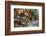 La Habana Vieja (Old Havana), Havana, Cuba, West Indies, Caribbean, Central America-Alan Copson-Framed Photographic Print